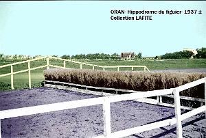 Oran- Le figuier 28a